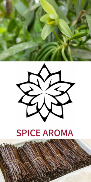 traitement de vanille deuis les cultivateurs passant par Spice Aroma pour rentre une vanille de qualité aux clients. quality vanilla