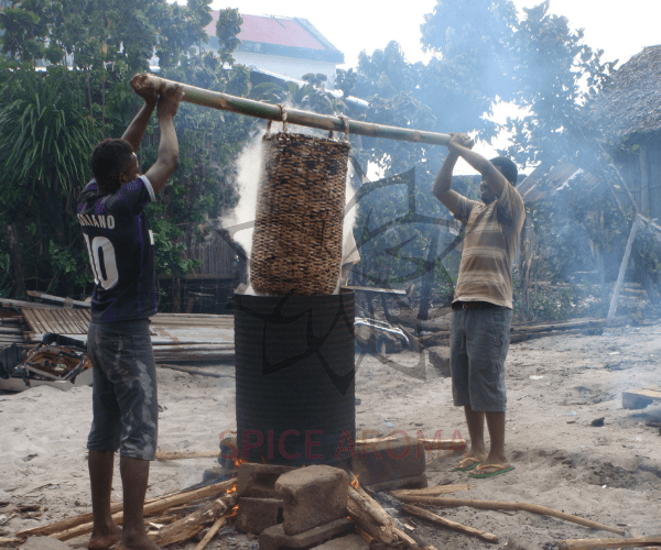 les-cultivateur-en-train-de-faire-echaudage-de-la-vanille-verte pour préparation de la vanille après récolte eng: preparation of vanilla after harvest