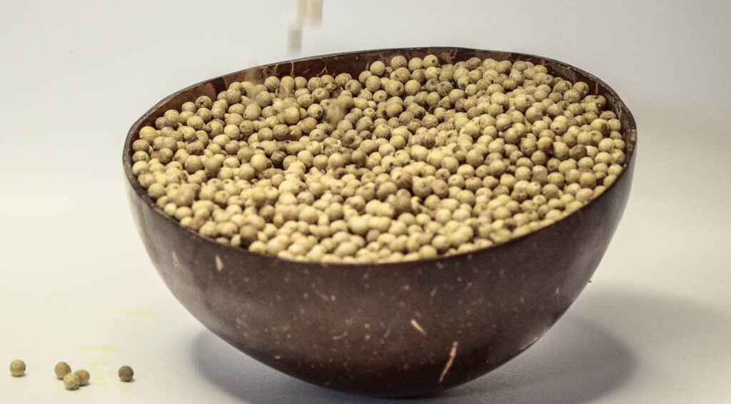 poivre blanc en grain de madagascar white pepper